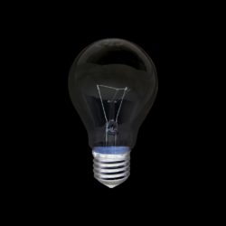 lightbulb