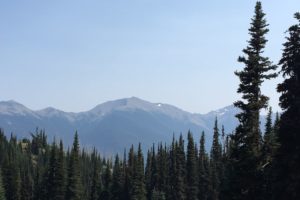 IMG_2879