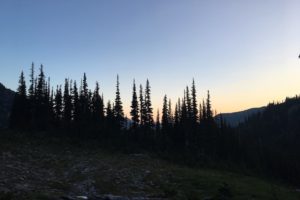 IMG_2951