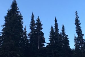 IMG_3102