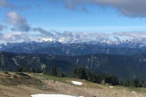 IMG_3136