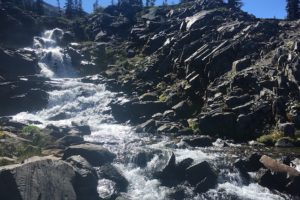 IMG_3611